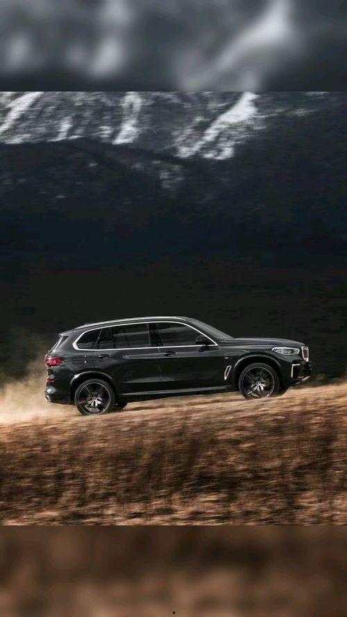 国产真实系列,揭秘中国本土文化的魅力与传承