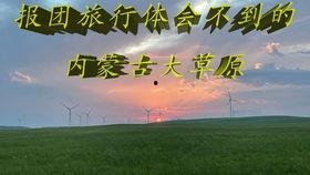 国产美女骑小马,国产美女与萌宠小马的甜蜜邂逅